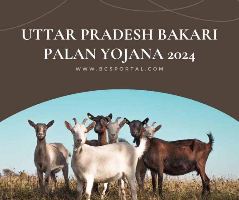 Uttar Pradesh Bakari Palan Yojana 2024