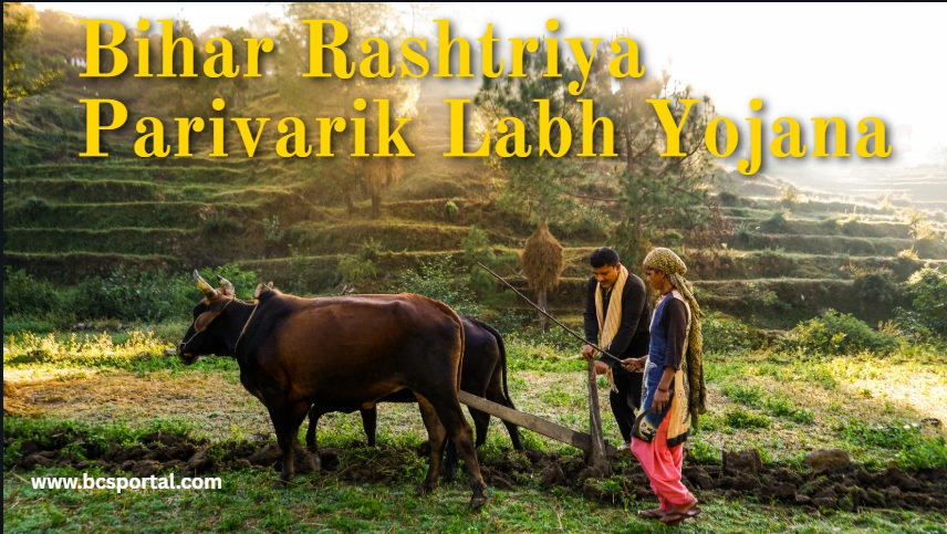Bihar Rashtriya Parivarik Labh Yojana